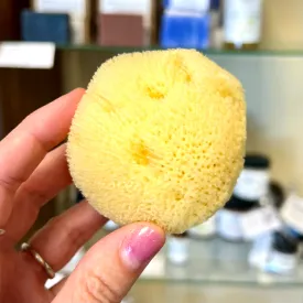 Silk Cosmetic Sea Sponge | Natural & Sustainable Luxury