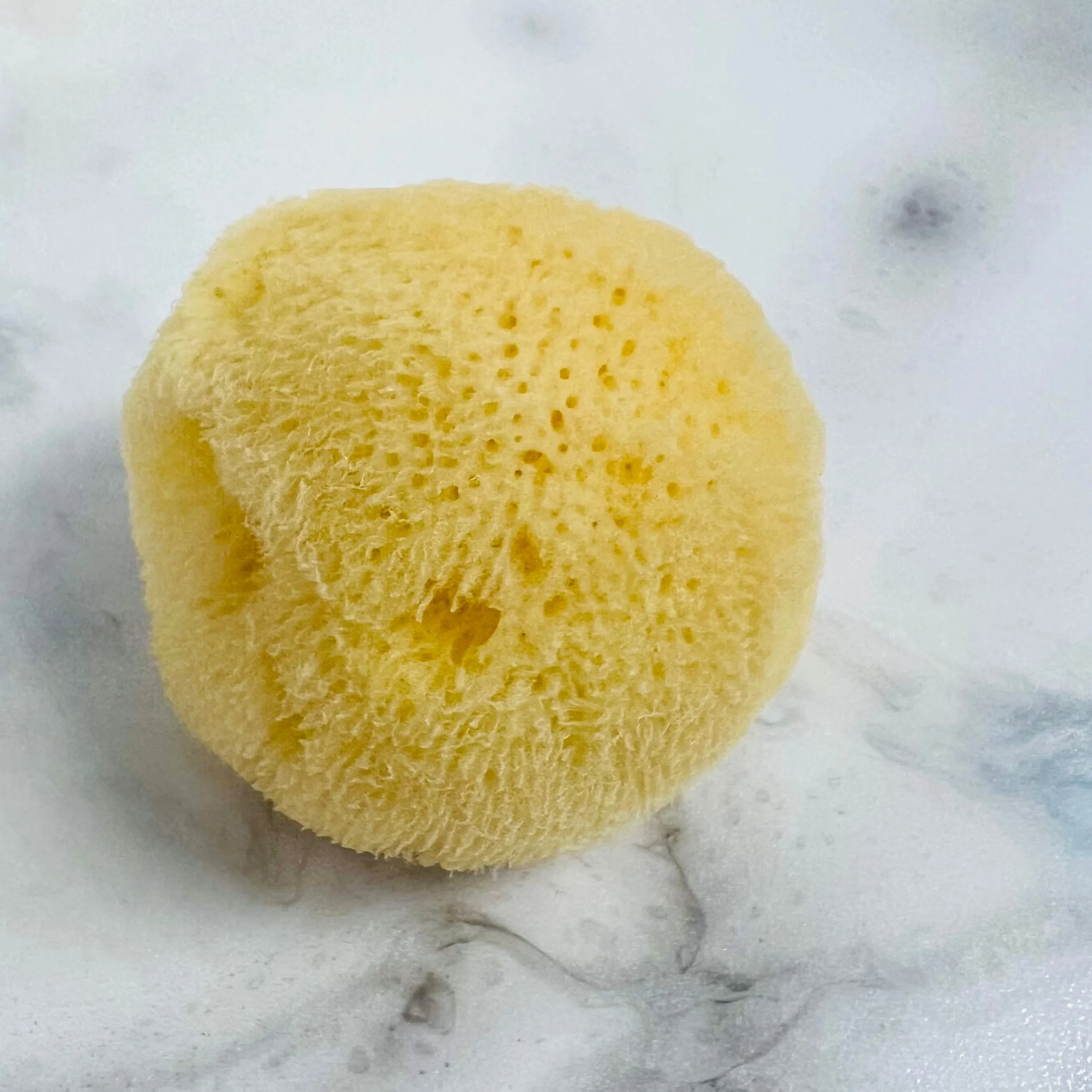 Silk Cosmetic Sea Sponge | Natural & Sustainable Luxury